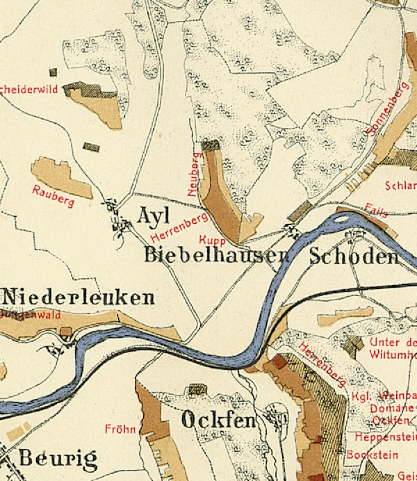 Die Abbildung zeigt die Umgebung des Ortes Ayl mit seinen Lagen. Aus der historischen Mosel-Weinbau-Karte für den Regierungsbezirk Trier aus dem Jahre 1868.