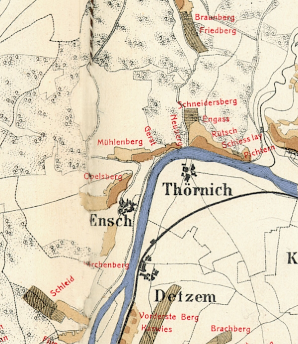 Die Abbildung zeigt die Umgebung des Ortes Thörnich mit seinen Lagen. Aus der historischen Mosel-Weinbau-Karte für den Regierungsbezirk Trier aus dem Jahre 1868.