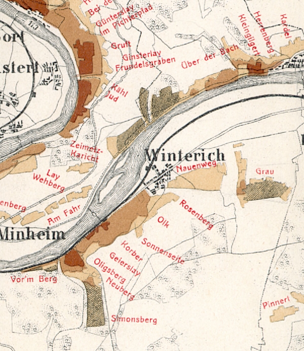 Die Abbildung zeigt die Umgebung des Ortes Winterich mit seinen Lagen. Aus der historischen Mosel-Weinbau-Karte für den Regierungsbezirk Trier aus dem Jahre 1906.