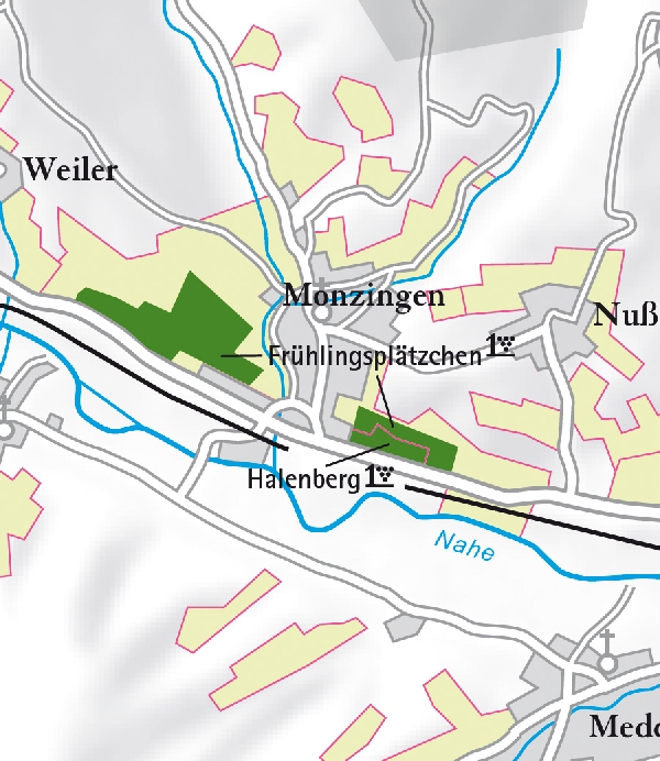 Die Abbildung zeigt den Ort Monzingen mit seinen Ersten Lagen. Ausschnitt aus dem Weinatlas Deutschland. Stand 2009.