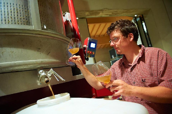 Das Foto zeigt: Den Kellermeister des Weinguts Van Voxlem bei der Weinbewertung.