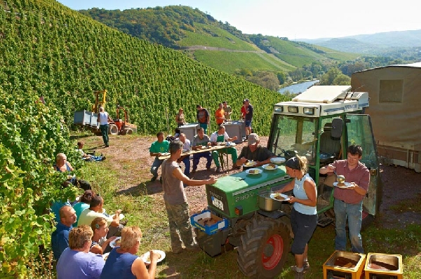 Das Foto zeigt: Mitarbeiter des Weinguts Van Volxem bei der Mittagspause auf dem Weinberg.
