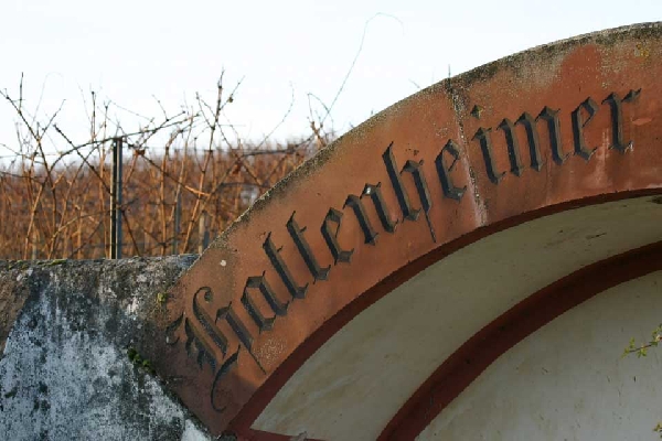 Lagenfoto Hattenheimer Nussbrunnen