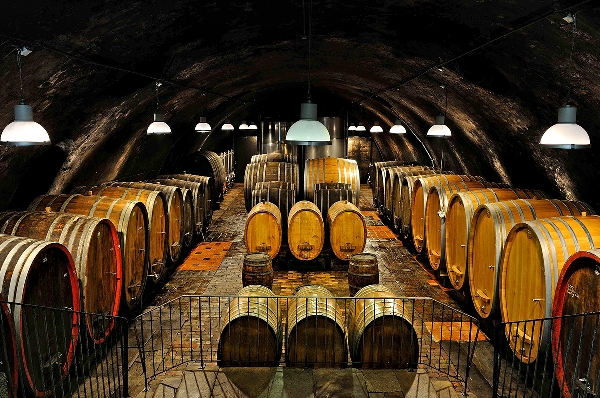 Diese Abbildung zeigt den Gewölbekeller von Weingut Wittmann.