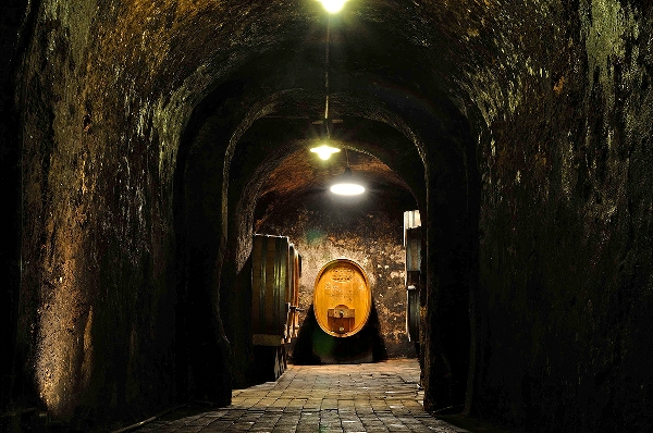 Diese Abbildung zeigt den Kellerblick von Weingut Wittmann.