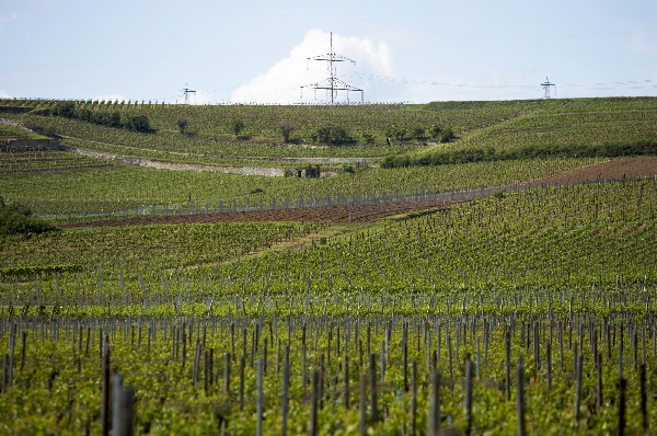 Diese Abbildung zeigt die Lage Kirchspiel von Weingut Wittmann.