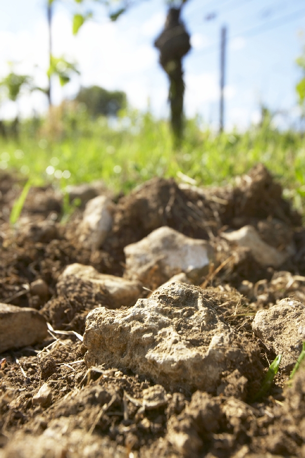 Diese Abbildung zeigt die Lage Kirchspiel von Weingut Wittmann.