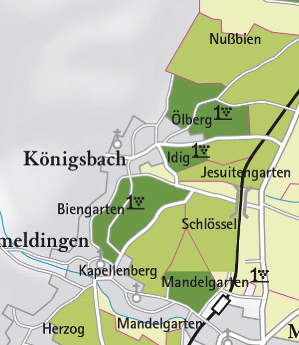 Die Abbildung zeigt den Ort Königsbach mit seinen Ersten Lagen. Ausschnitt aus der Lagenkarte Pfalz | Mittelhaardt. 