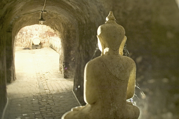 Diese Abbildung zeigt den Keller von Weingut Wittmann.