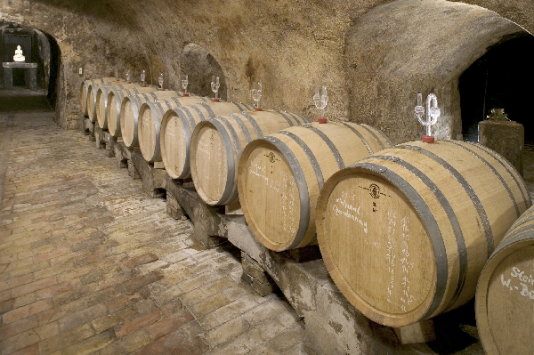 Diese Abbildung zeigt den Keller von Weingut Wittmann.