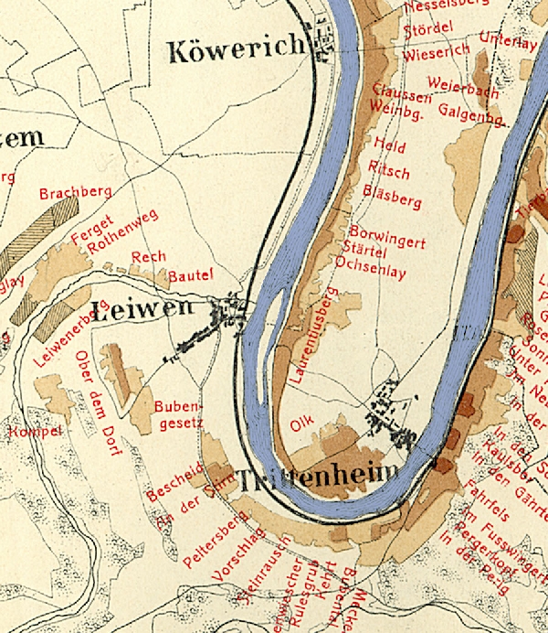 Die Abbildung zeigt die Umgebung des Ortes Leiwen mit seinen Lagen. Aus der historischen Mosel-Weinbau-Karte für den Regierungsbezirk Trier aus dem Jahre 1906.