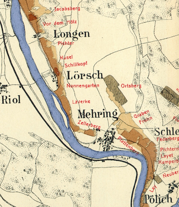 Die Abbildung zeigt die Umgebung des Ortes Mehring mit seinen Lagen. Aus der historischen Mosel-Weinbau-Karte für den Regierungsbezirk Trier aus dem Jahre 1906.