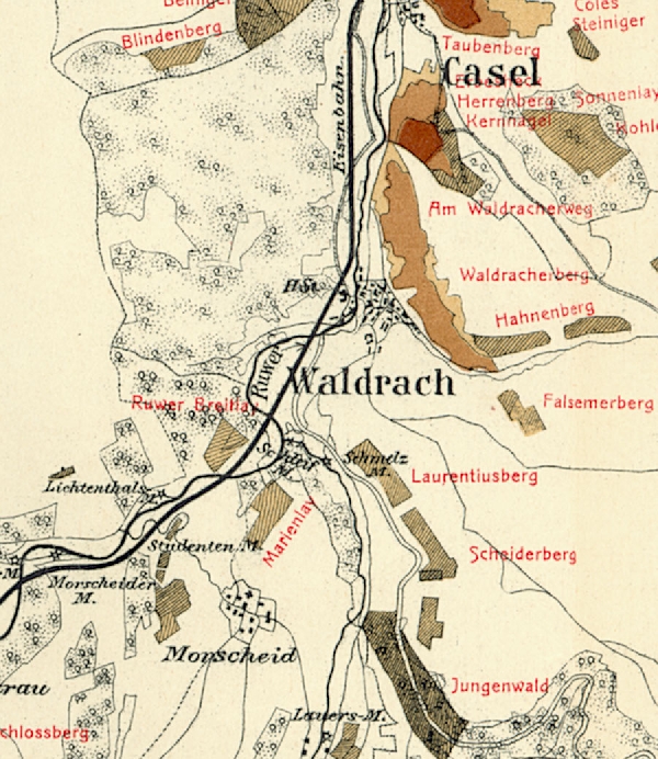 Die Abbildung zeigt die Umgebung des Ortes Waldrach mit seinen Lagen. Aus der historischen Mosel-Weinbau-Karte für den Regierungsbezirk Trier aus dem Jahre 1868.