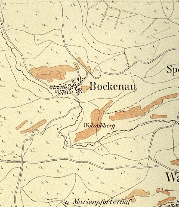Die Abbildung zeigt einen Ausschnitt des Ortes Bockenau mit seinen Lagen. Aus der historischen Nahe-Weinbau-Karte für den Regierungsbezirk Koblenz aus dem Jahre 1901.