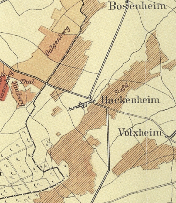 Die Abbildung zeigt einen Ausschnitt des Ortes Hackenheim mit seinen Lagen. Aus der historischen Nahe-Weinbau-Karte für den Regierungsbezirk Koblenz aus dem Jahre 1901.