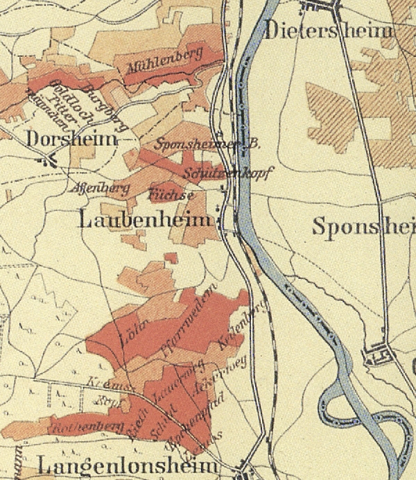 Die Abbildung zeigt einen Ausschnitt des Ortes Laubenheim mit seinen Lagen. Aus der historischen Nahe-Weinbau-Karte für den Regierungsbezirk Koblenz aus dem Jahre 1901.