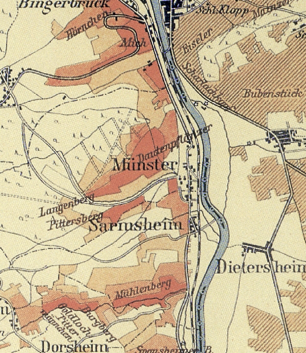 Die Abbildung zeigt einen Ausschnitt des Ortes Münster mit seinen Lagen. Aus der historischen Nahe-Weinbau-Karte für den Regierungsbezirk Koblenz aus dem Jahre 1901.