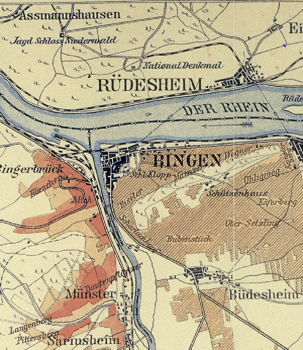 Die Abbildung zeigt einen Ausschnitt des Ortes Ruedesheim mit seinen Lagen. Aus der historischen Nahe-Weinbau-Karte für den Regierungsbezirk Koblenz aus dem Jahre 1901.