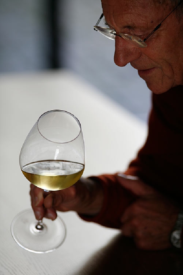 Weinprobe beim Weingut A. Christmann.