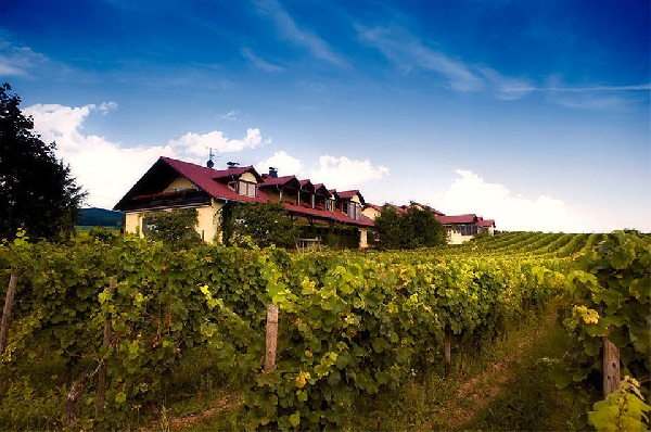 Dieses Foto zeigt das Bio-Weingut Peter Jakob Kühn aus dem Ort Oestrich im Rheingau. 
