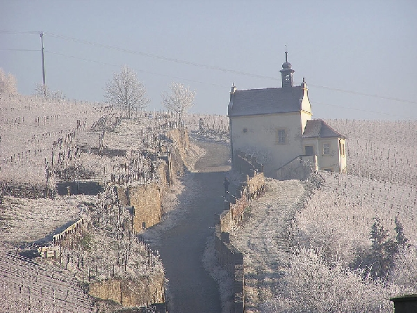 Das Foto zeigt die Cru-Lage Kapellenberg im Winter.
