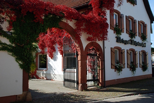 Das Foto zeigt das Wein- und Sektgut Wilhelmshof.