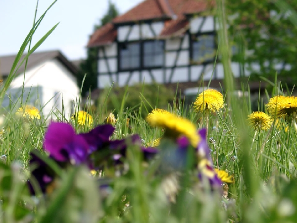 Weingut_Egon_Schmitt_5