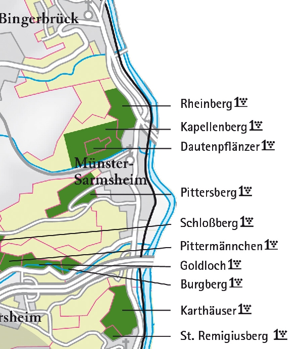 Die Abbildung zeigt den Ort münster-sarmsheim mit seinen Ersten Lagen. Ausschnitt aus dem Weinatlas Deutschland. Stand 2009.