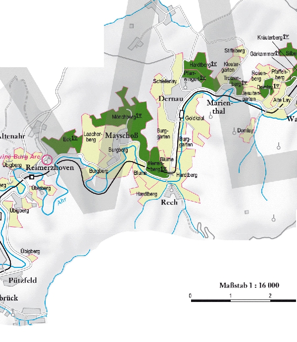 Die Abbildung zeigt den Ort Rech und seine Umgebung mit ihren Ersten Lagen. Ausschnitt aus dem Weinatlas Deutschland. Stand 2009.