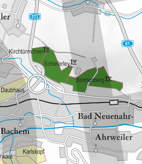 Die Abbildung zeigt den Ort Neuenahr mit seinen Ersten Lagen. Ausschnitt aus dem Weinatlas Deutschland. Stand 2009.