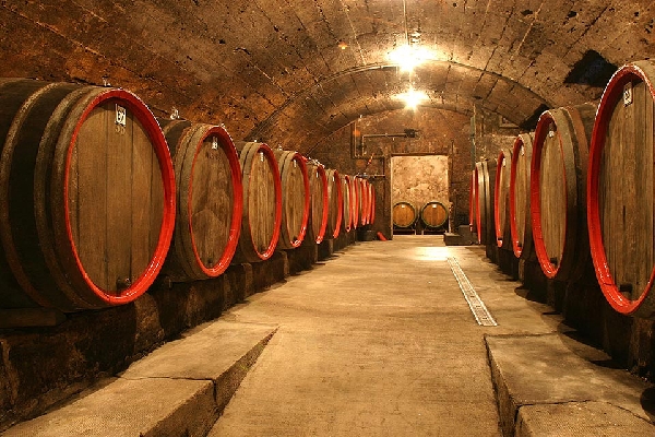 Das Foto zeigt Fässer im Weinkeller des Weinguts Van Volxem.