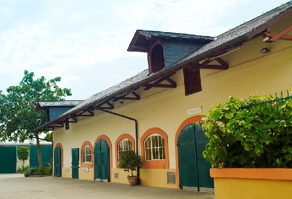 Prinz_v_Hessen_Weinkeller_aussen