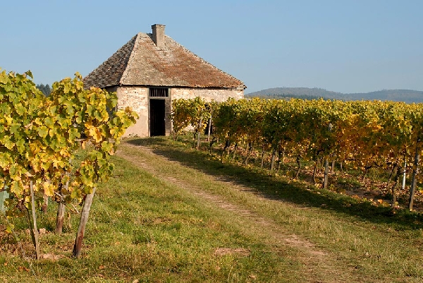 Prinz_v_Hessen_Dachsberg