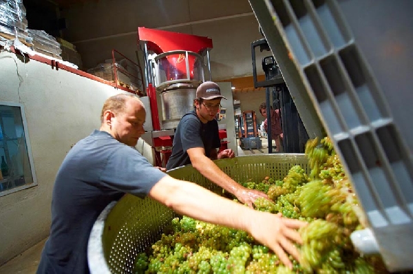 Weingut_Van_Volxem_Korbkehler