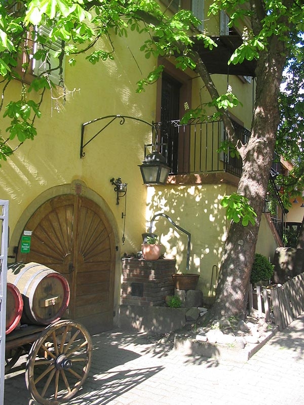 Privatweingut H. Schlumberger _ Impression