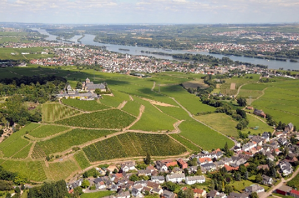Das Foto zeigt eine Luftaufnahme von Schloss Johannisberg.