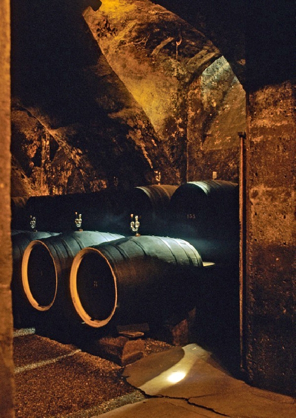 Das Foto zeigt die Eichenfässer  von Schloss Johannisberg.