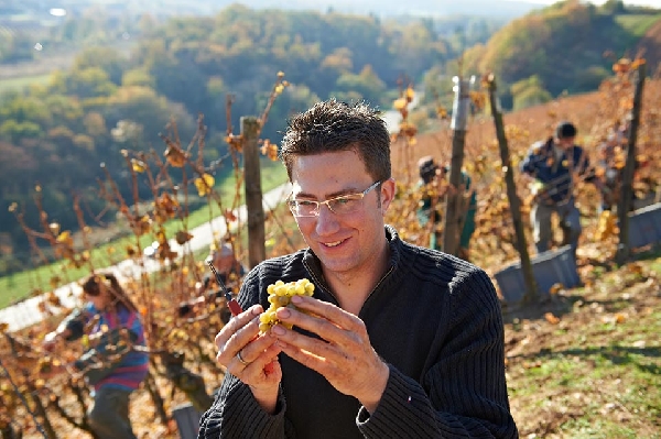 Das Foto zeigt Sebastian Schäfer von Weingut Joh. Bapt. Schäfer
während der Rieslinglese 2012.