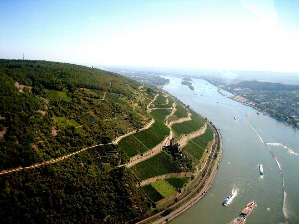 Das Foto zeigt eine Luftaufnahme des Lage Rüdesheimer Berg Schlossberg mit eienm Blick auf die Burg Ehrenfels.