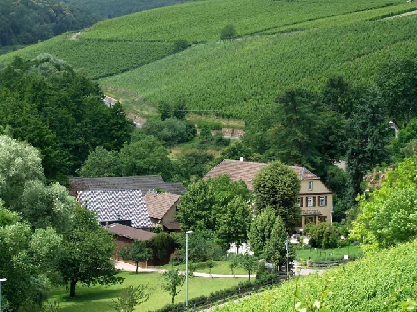 Blick auf das Weingut Schamari-Mühle.