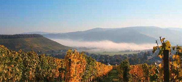 Kupp-nebel-oktober-2008