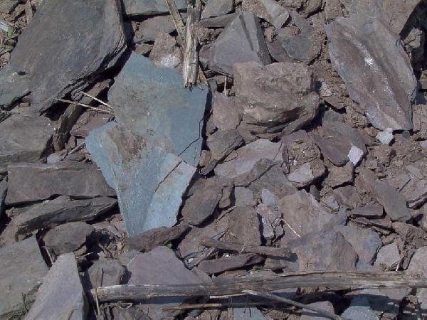 Das Foto zeigt blaugrauen Devonschiefer, den Boden der Lage Ayler Kupp.
