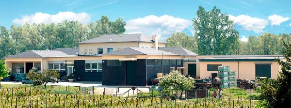 Das Foto zeigt das Kellereigebäude von Weingut Balthasar Ress in der Rheinallee 50, Hattenheim am Rheingau.