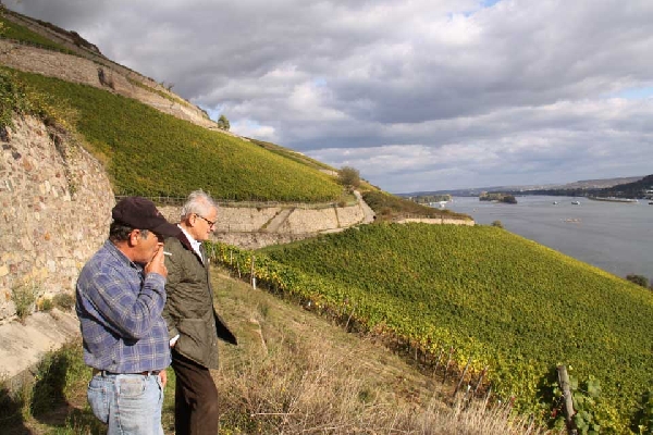 Das Foto zeigt Stefan Ress und Enzo Mancuso auf dem Rüdesheimer Berg Schlossberg.