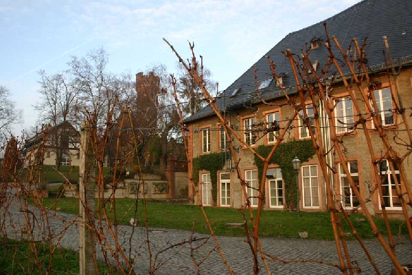 Das Foto zeigt Schloss Reichartshausen.