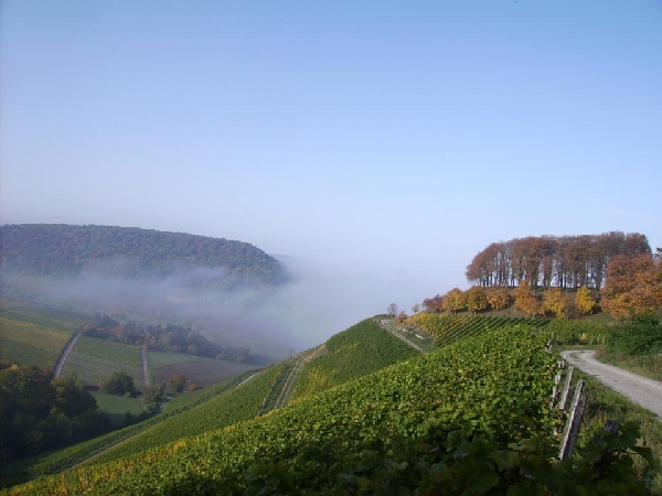 Das Foto zeigt die Lage Casteller Schlossberg.