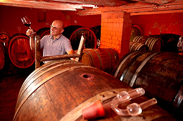 Das Foto zeigt Lothar Schwörer im Barrique-Keller seines Weinguts.