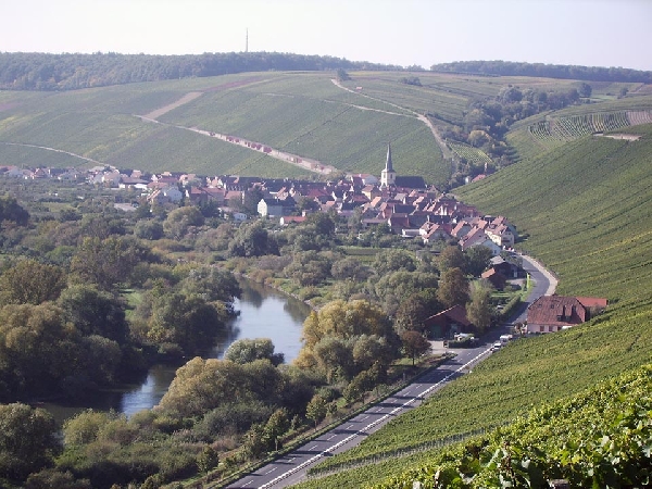 Das Foto zeigt den Ausblick von der Lage Escherndorfer Lump auf den Ort Eschendorf, Franken. 