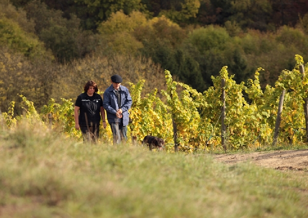 Das Foto zeigt Martina und Peter Linxweiler bei einem Gang durch die Weinberge in der Region Nahe.