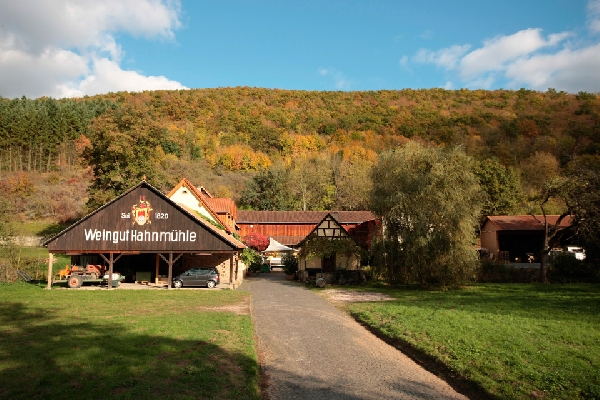 Das Foto zeigt das Weingut Hahnmühle.